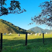 Aldeia Velha Turismo Rural e de Aventura - RJ