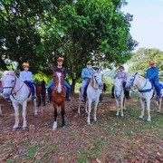 Aldeia Velha Turismo Rural e de Aventura - RJ
