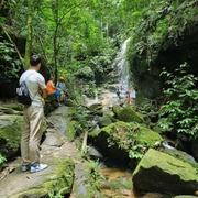 Parque Nacional da Tijuca - Setor Floresta