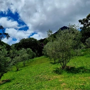 Queijos & Vinhos na Serra (bate/volta)