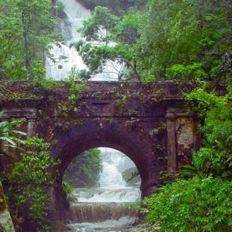 Parque Nacional da Tijuca - Setor Floresta
