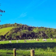 Turismo Rural em Rio Bonito