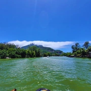Ilha da Gigoia & Pantanal Carioca