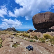 Uma Experiência Como Montanhista no Planalto do Itatiaia - PNI