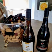 Queijos & Vinhos na Serra (bate/volta)