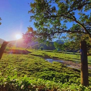 Aldeia Velha Turismo Rural e de Aventura - RJ