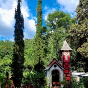 Queijos & Vinhos na Serra (bate/volta)