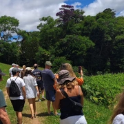 Queijos & Vinhos na Serra (bate/volta)
