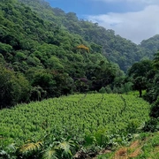 Queijos & Vinhos na Serra (bate/volta)