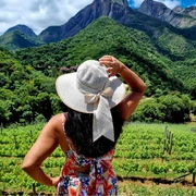 Queijos & Vinhos na Serra (bate/volta)